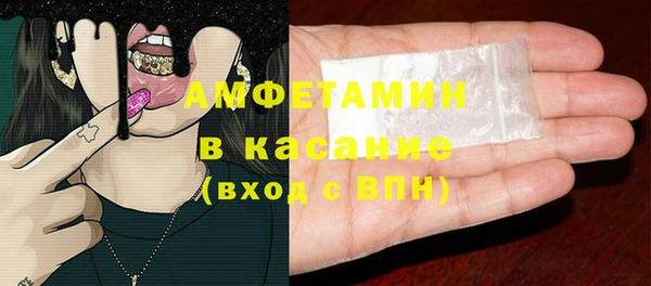 сатива Горняк