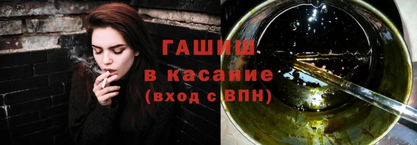 сатива Горняк