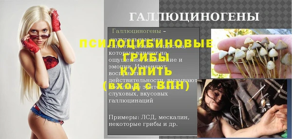 стаф Горно-Алтайск