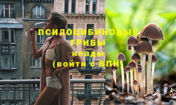 меф Горнозаводск