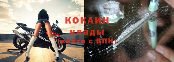 сатива Горняк