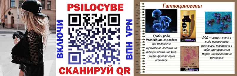 Купить  Ступино  Псилоцибиновые грибы Psilocybe 